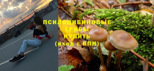 спиды Алексеевка