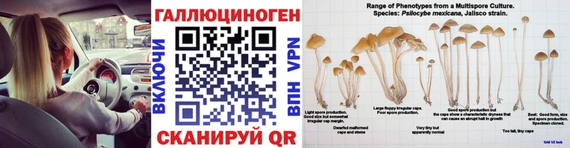 Псилоцибиновые грибы мицелий  Каневская 